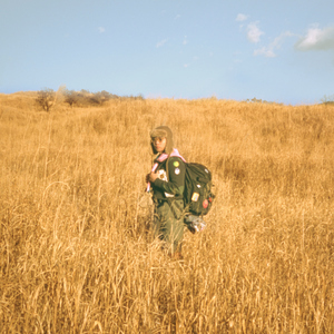 大鸡巴操骚逼免费
