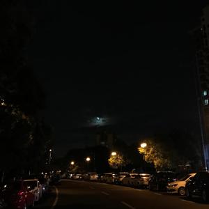 大鸡巴操骚逼免费
