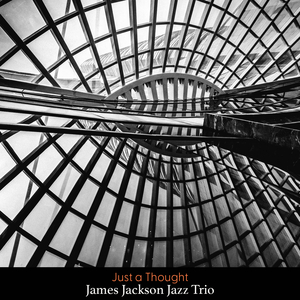 大鸡巴操骚逼免费
